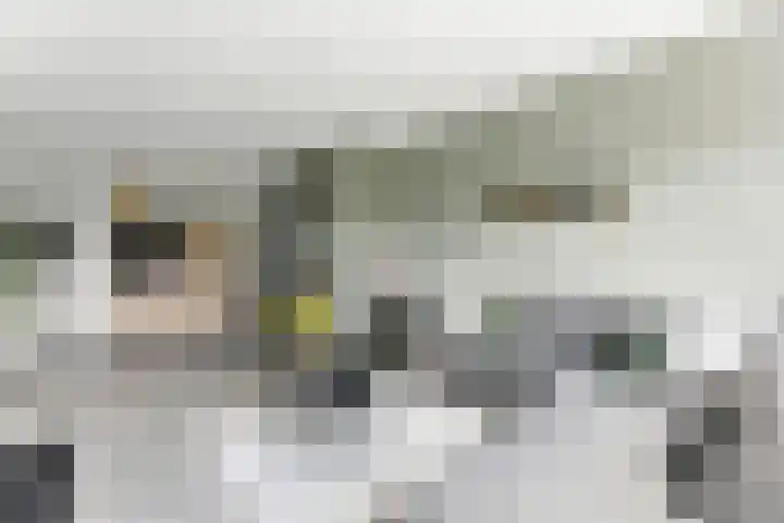Van Eesterensingel 27 Alblasserdam thumbnail 10