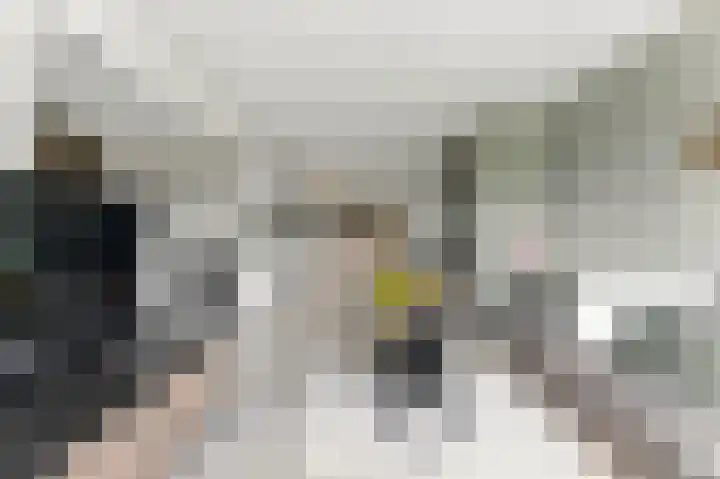 Van Eesterensingel 27 Alblasserdam thumbnail 12
