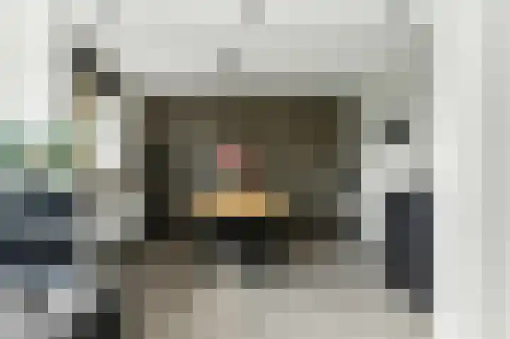 Van Eesterensingel 27 Alblasserdam thumbnail 14