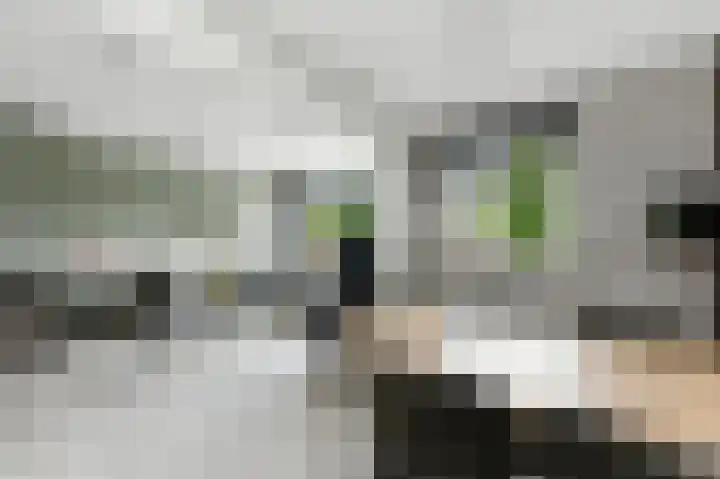 Van Eesterensingel 27 Alblasserdam thumbnail 18