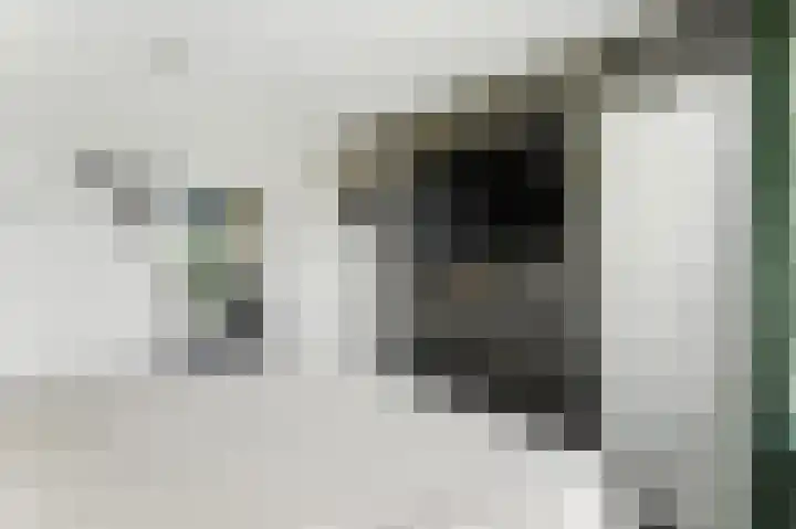 Van Eesterensingel 27 Alblasserdam thumbnail 22