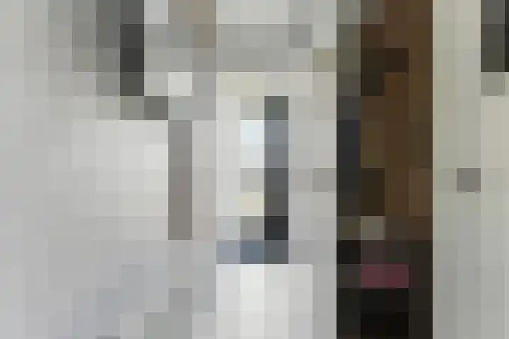 Van Eesterensingel 27 Alblasserdam thumbnail 28