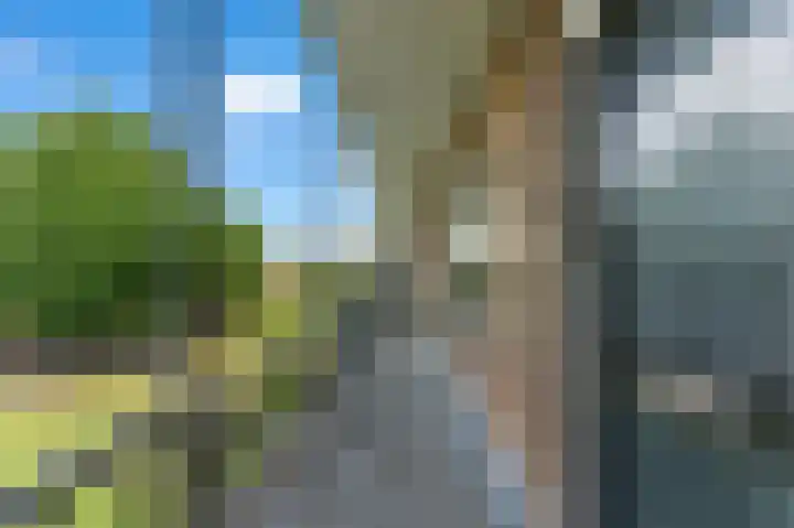 Van Eesterensingel 27 Alblasserdam thumbnail 30