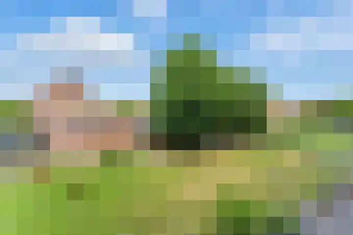 Van Eesterensingel 27 Alblasserdam thumbnail 31