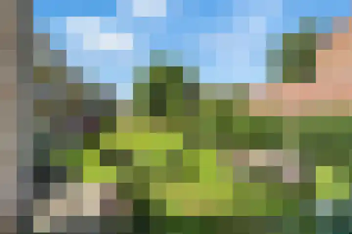 Van Eesterensingel 27 Alblasserdam thumbnail 32