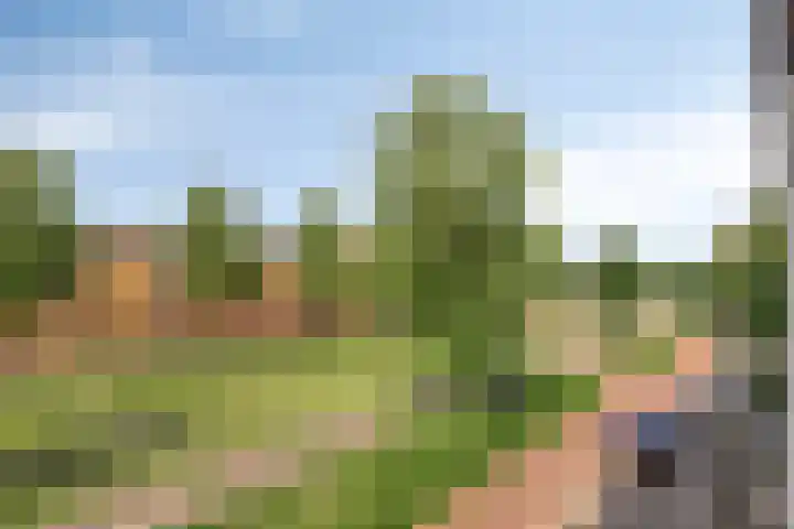 Van Eesterensingel 47 Alblasserdam thumbnail 18