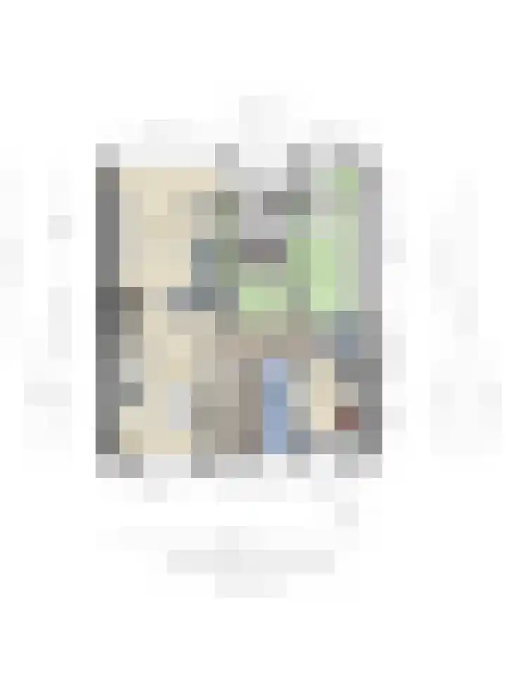 Van Eesterensingel 47 Alblasserdam thumbnail 21