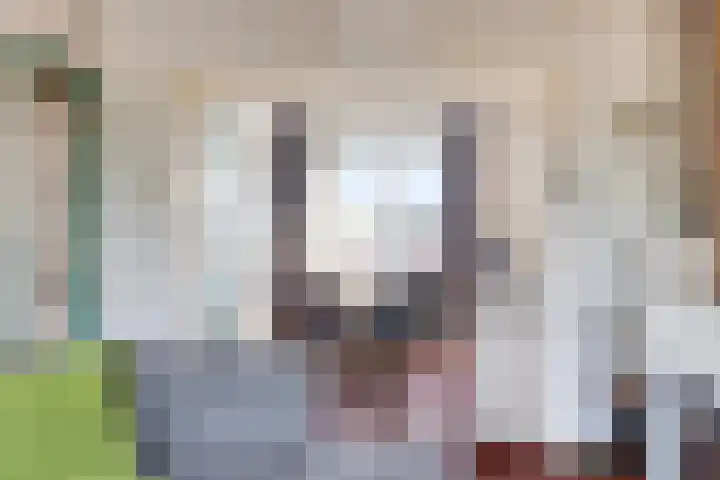 Van Eesterensingel 47 Alblasserdam thumbnail 5