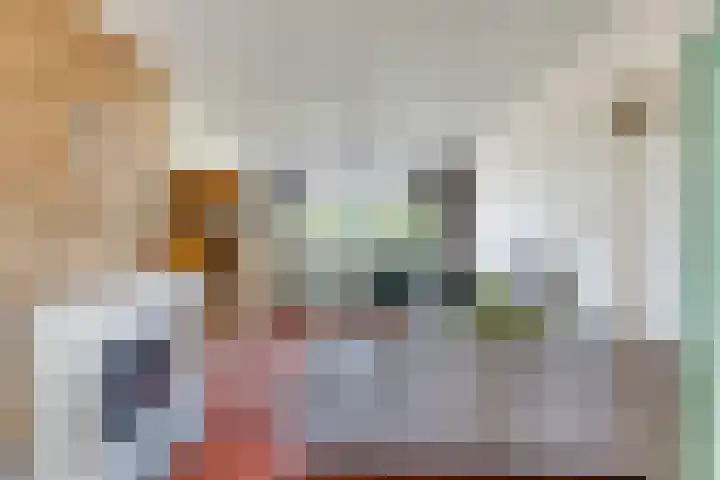 Van Eesterensingel 47 Alblasserdam thumbnail 6
