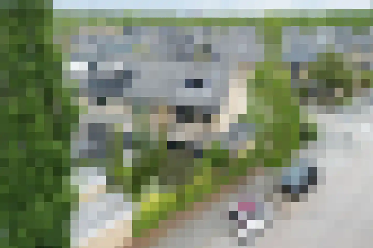Van Eesterenveld 47 Barendrecht thumbnail 38