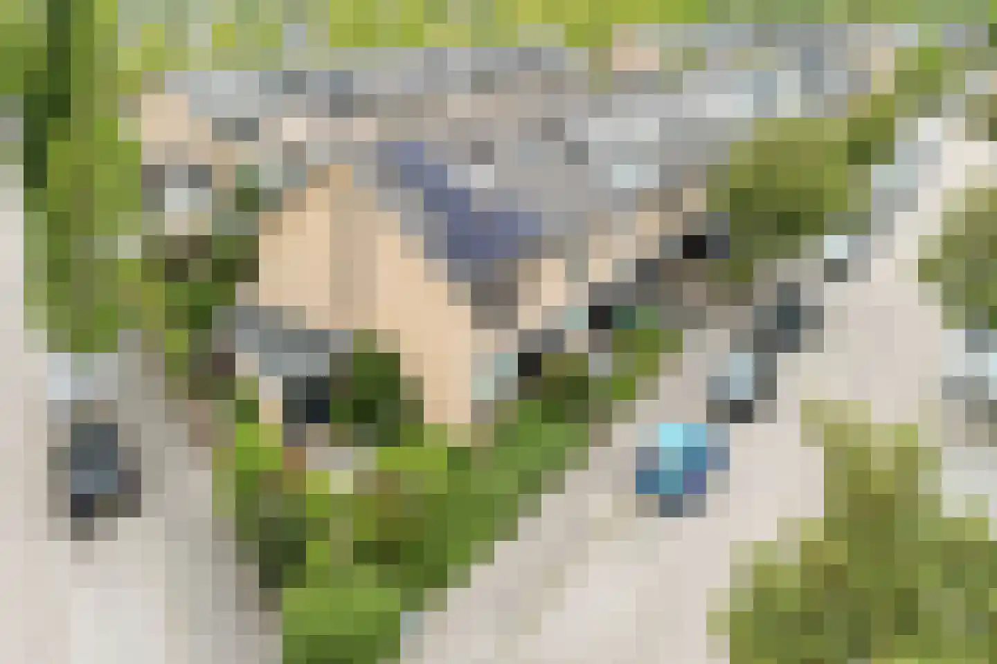 Van Eesterenveld 47 Barendrecht thumbnail 39