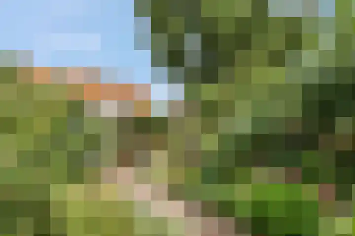 Van Effenlaan 15 Amersfoort thumbnail 24