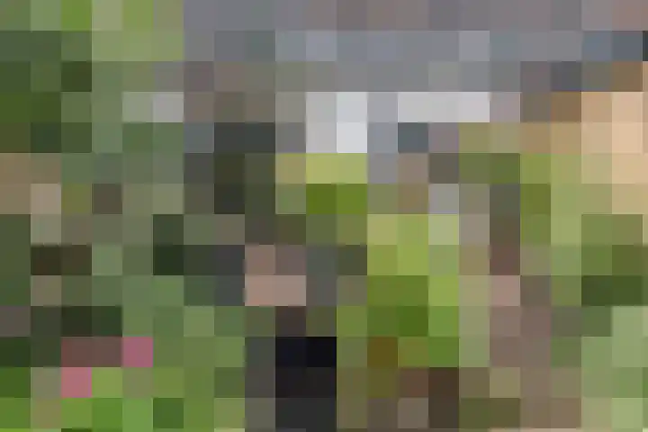 Van Effenlaan 15 Amersfoort thumbnail 26