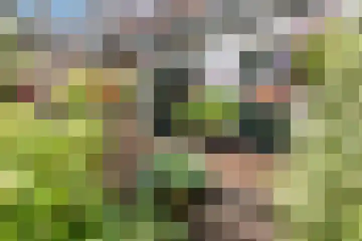 Van Effenlaan 15 Amersfoort thumbnail 27
