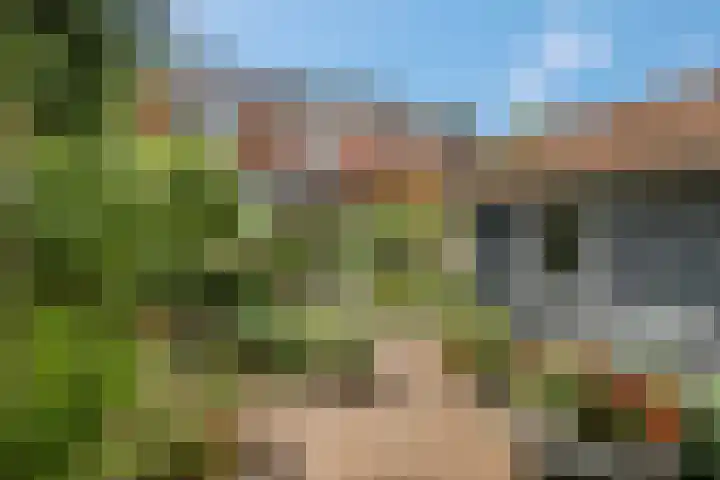 Van Effenlaan 15 Amersfoort thumbnail 30