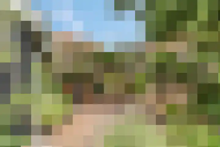 Van Effenlaan 15 Amersfoort thumbnail 31