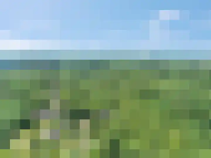 Van Effenlaan 15 Amersfoort thumbnail 33