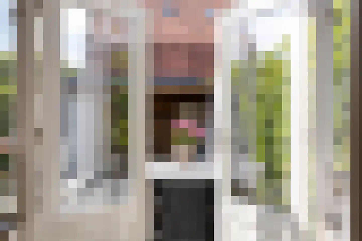 Van Effenlaan 4 Amersfoort thumbnail 15