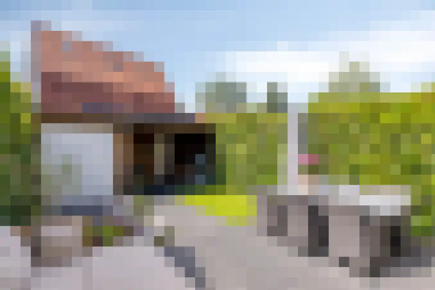 Van Effenlaan 4 Amersfoort thumbnail 43