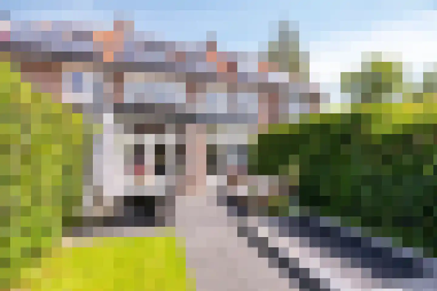 Van Effenlaan 4 Amersfoort thumbnail 47