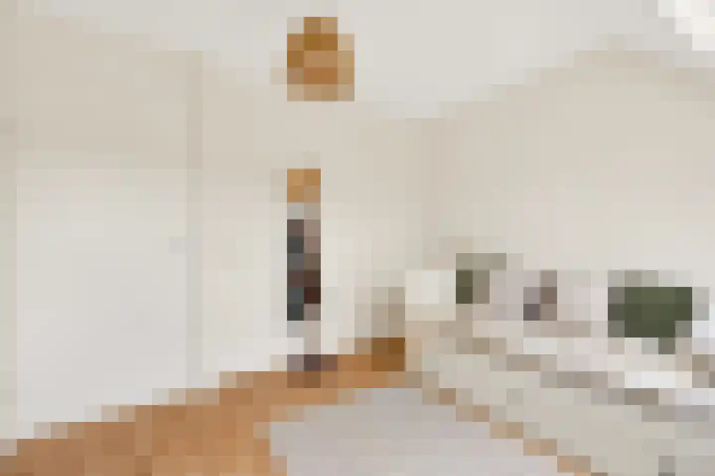 Van Effenstraat 1 2 Amsterdam thumbnail 23