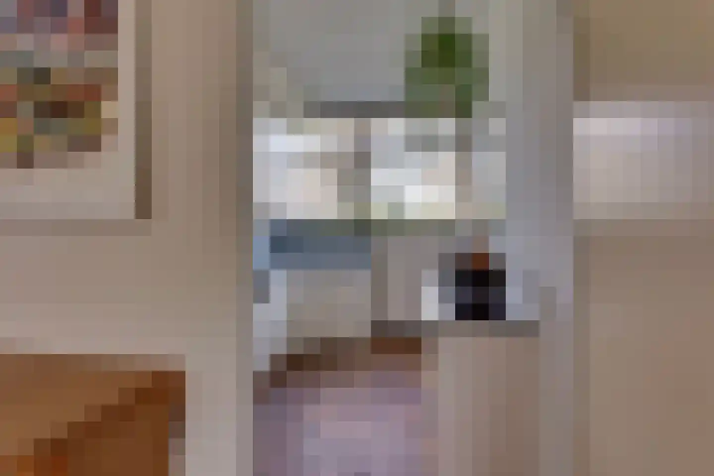 van Effenstraat 1 Goor thumbnail 10