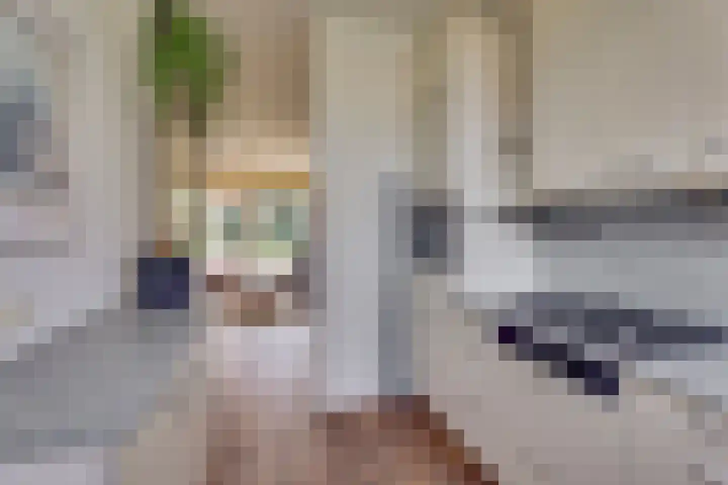 van Effenstraat 1 Goor thumbnail 12