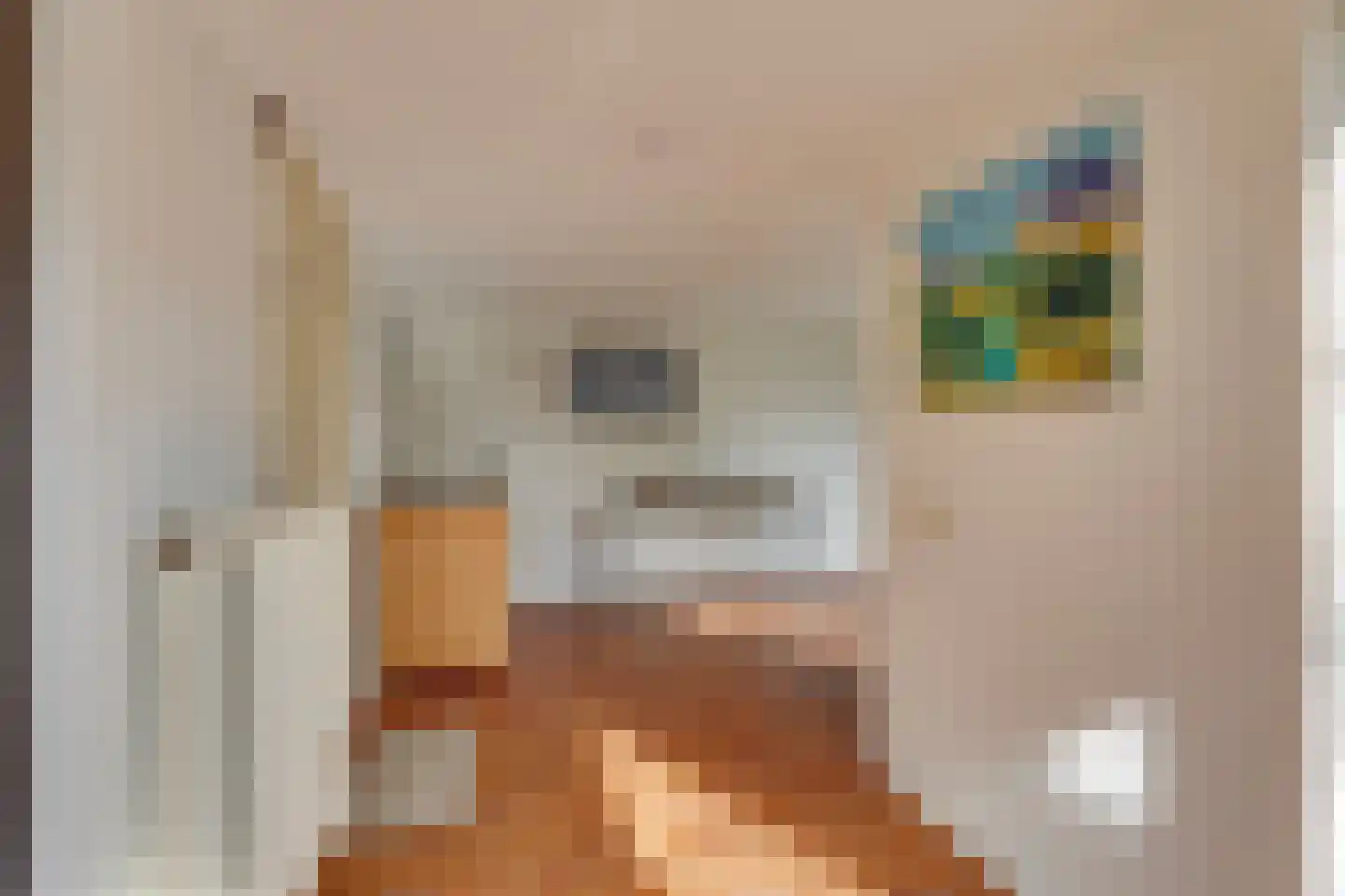 van Effenstraat 1 Goor thumbnail 14