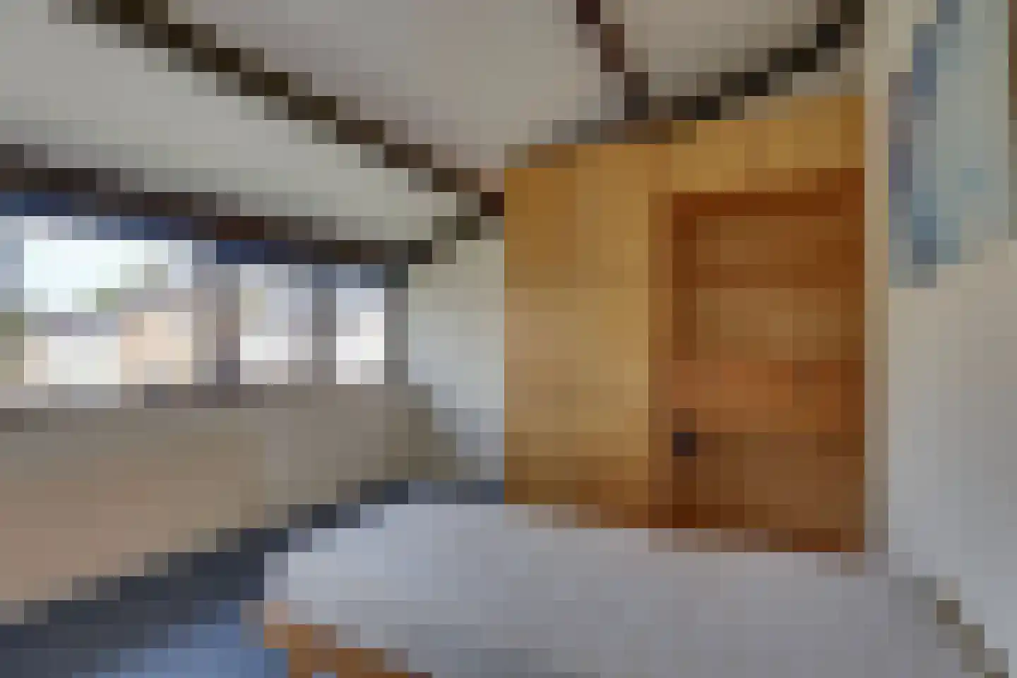 van Effenstraat 1 Goor thumbnail 18