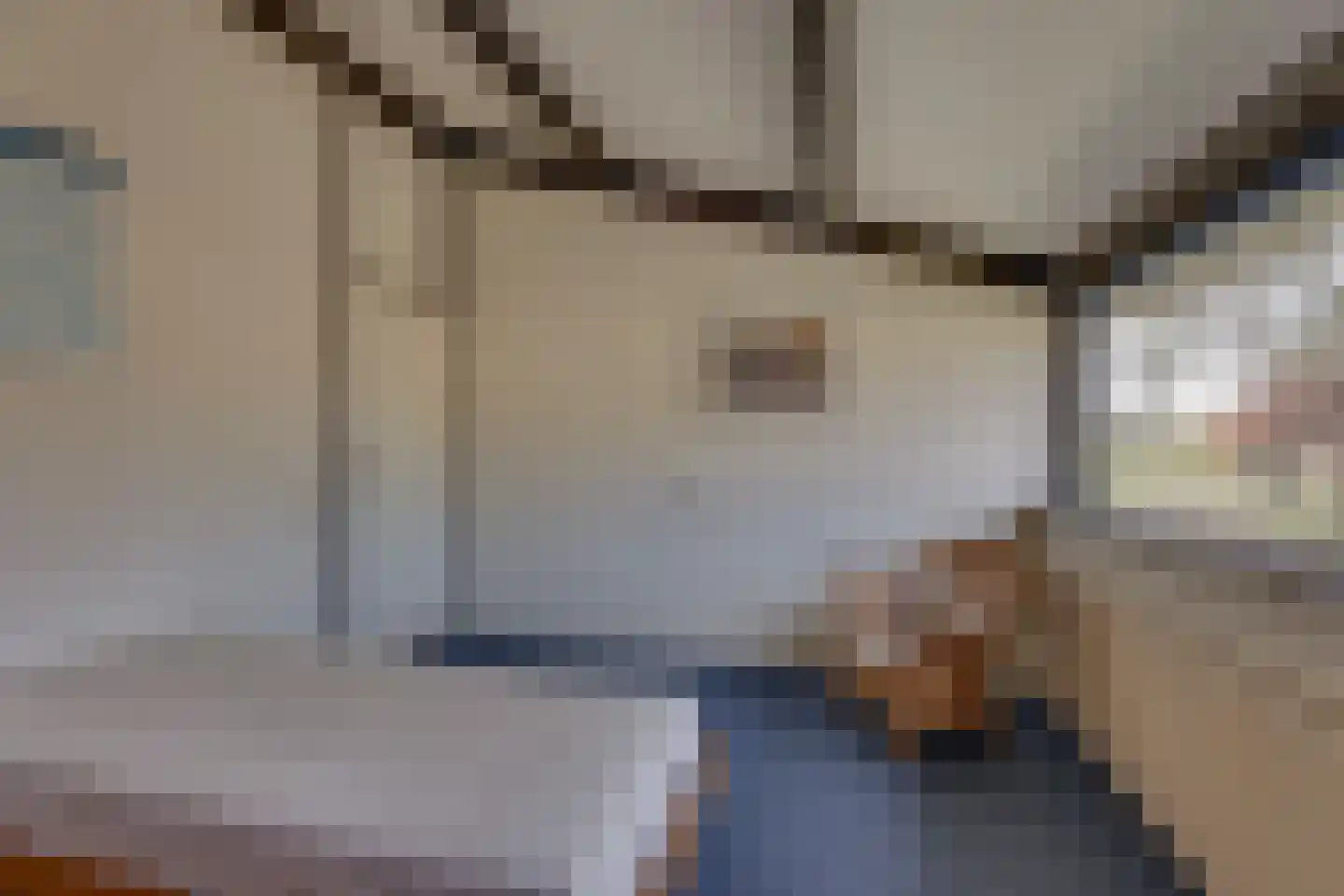 van Effenstraat 1 Goor thumbnail 19