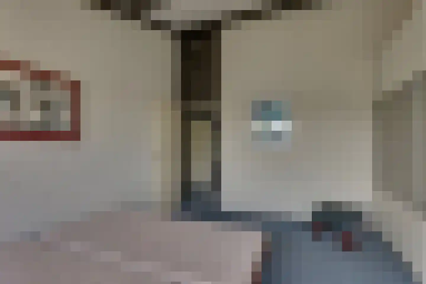 van Effenstraat 1 Goor thumbnail 20
