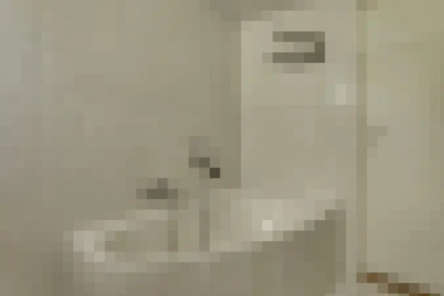 van Effenstraat 1 Goor thumbnail 26