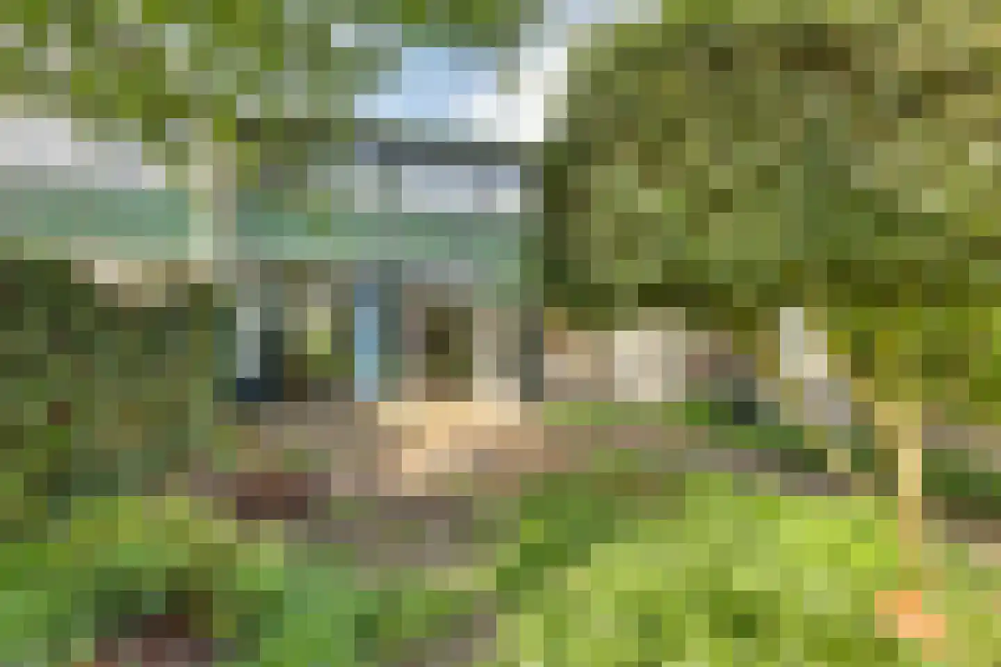 van Effenstraat 1 Goor thumbnail 29