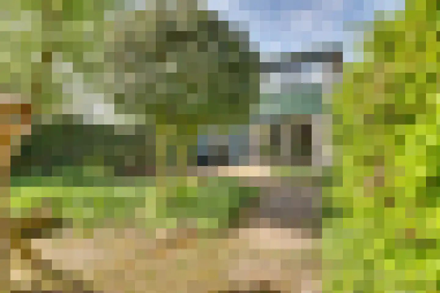 van Effenstraat 1 Goor thumbnail 30