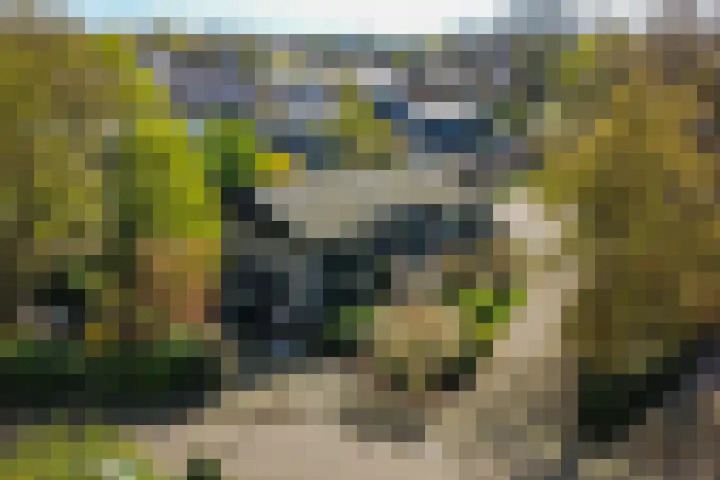 van Effenstraat 1 Goor thumbnail 35