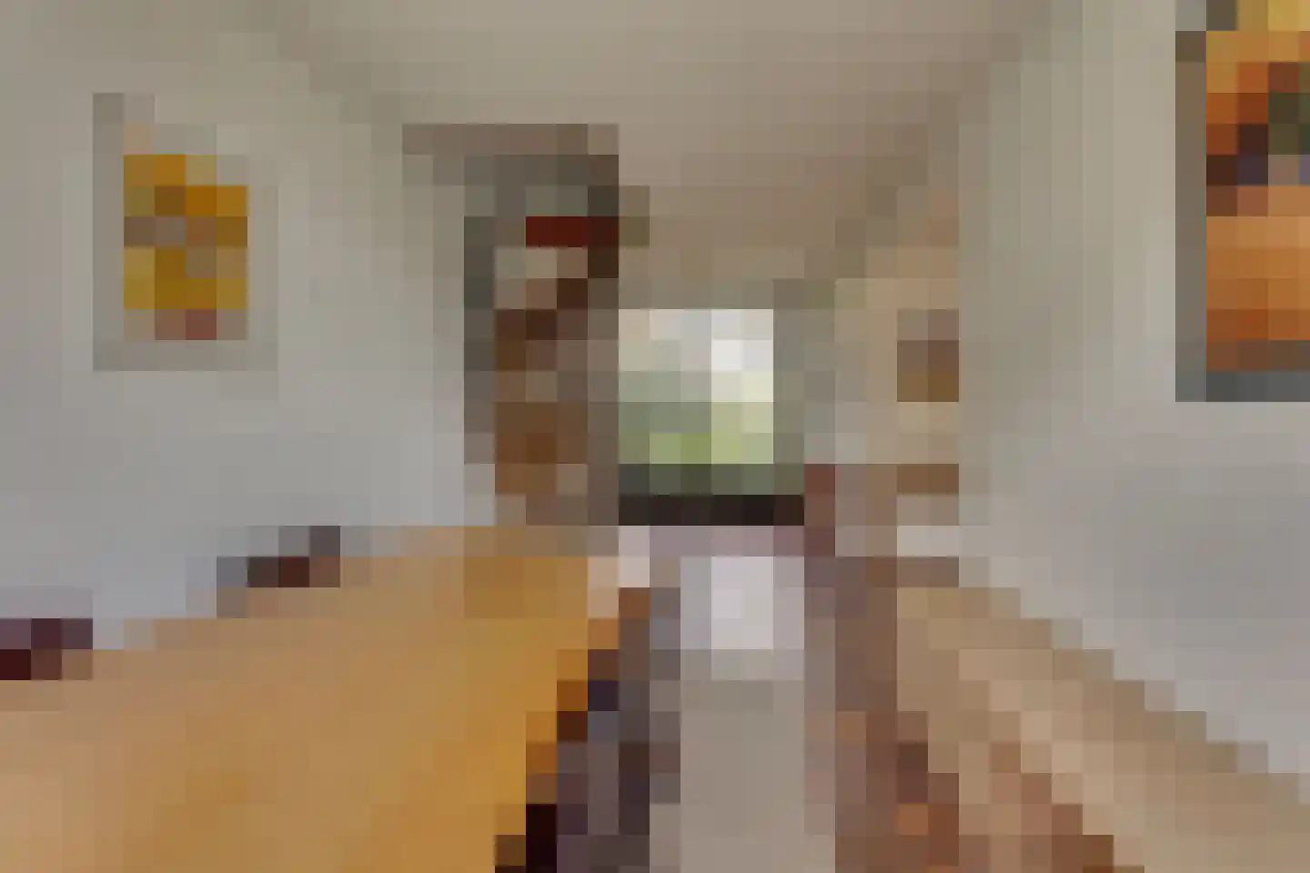 van Effenstraat 1 Goor thumbnail 8