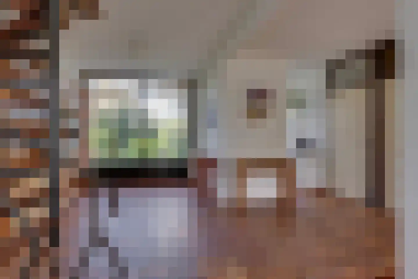 van Effenstraat 1 Goor thumbnail 9