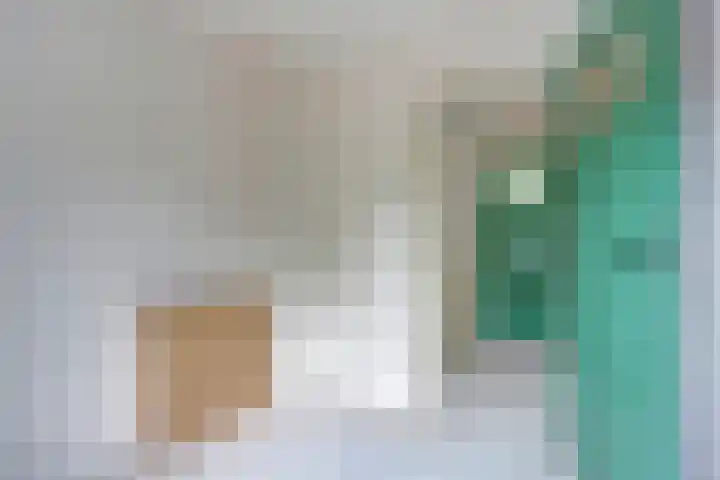 van Effenstraat 17 Hoogezand thumbnail 18