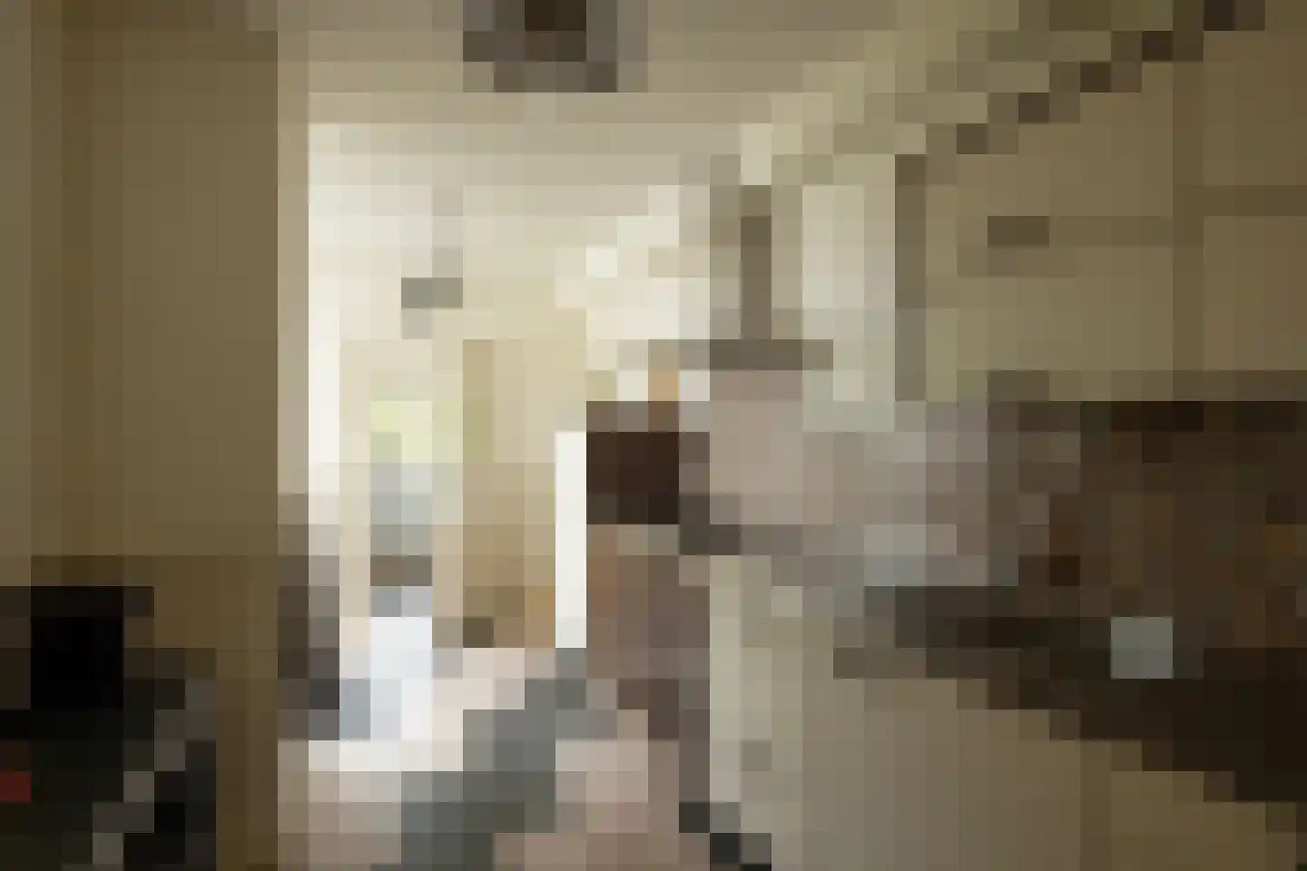 Van Effrinkstraat 10 Voorthuizen thumbnail 10