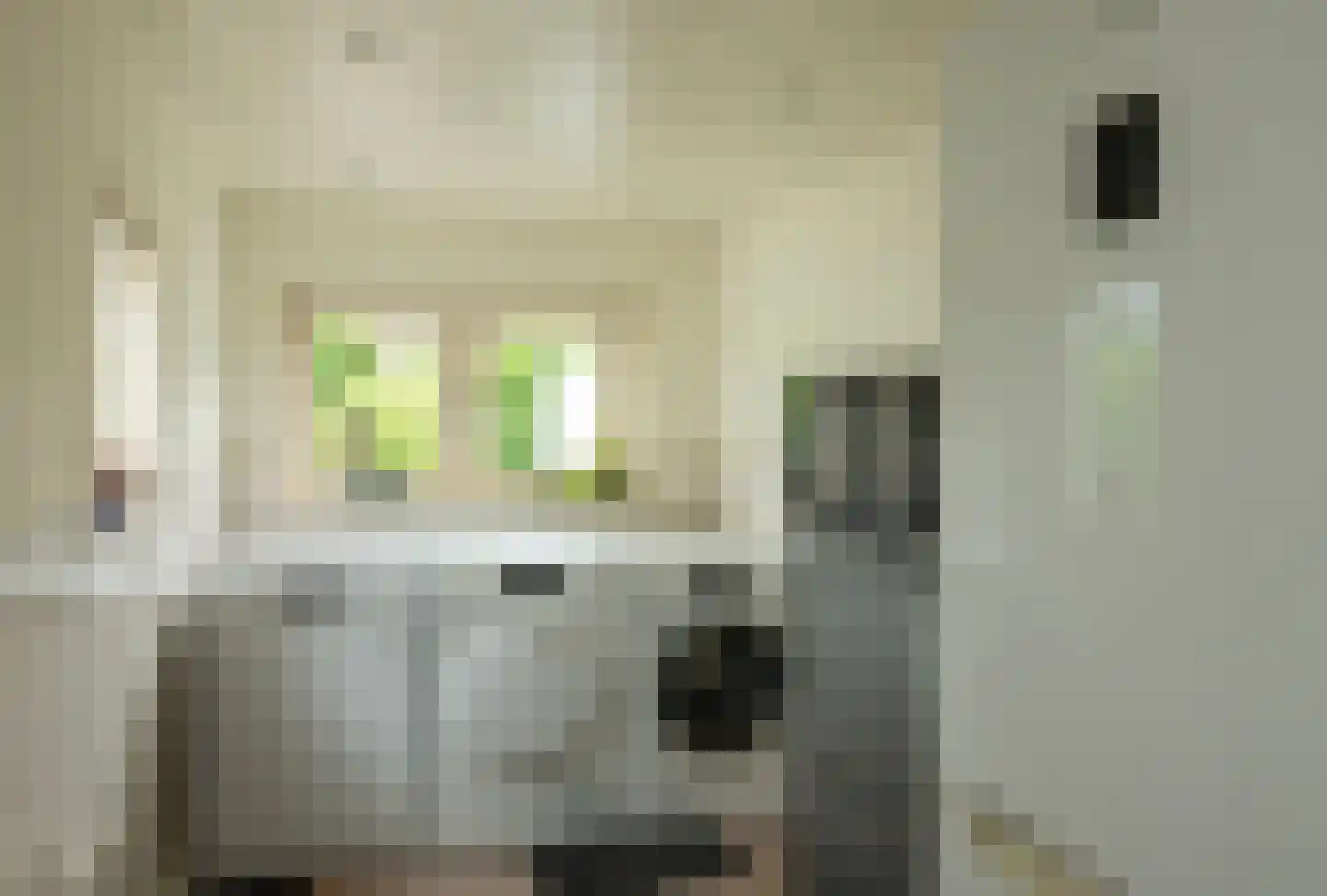 Van Effrinkstraat 10 Voorthuizen thumbnail 11