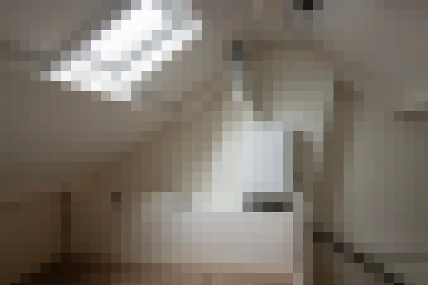 Van Effrinkstraat 10 Voorthuizen thumbnail 21