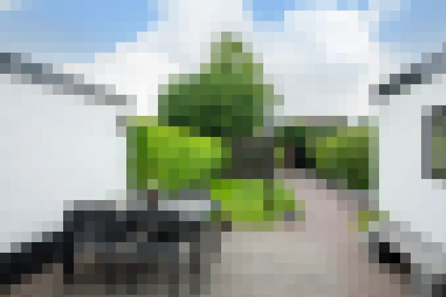 Van Effrinkstraat 10 Voorthuizen thumbnail 22