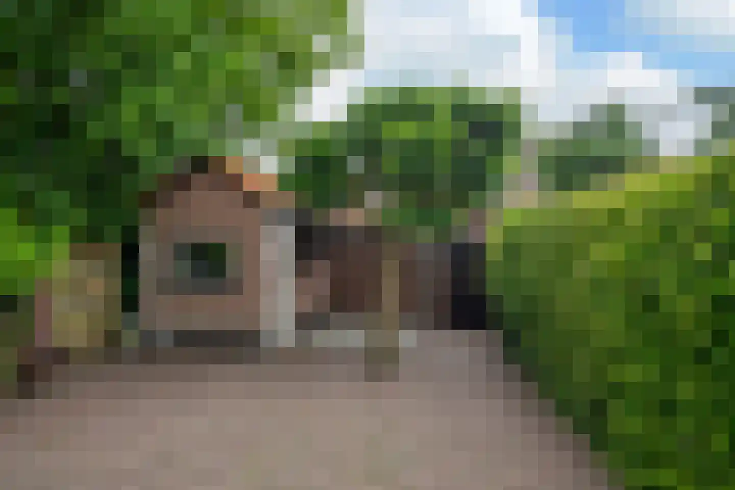Van Effrinkstraat 10 Voorthuizen thumbnail 24