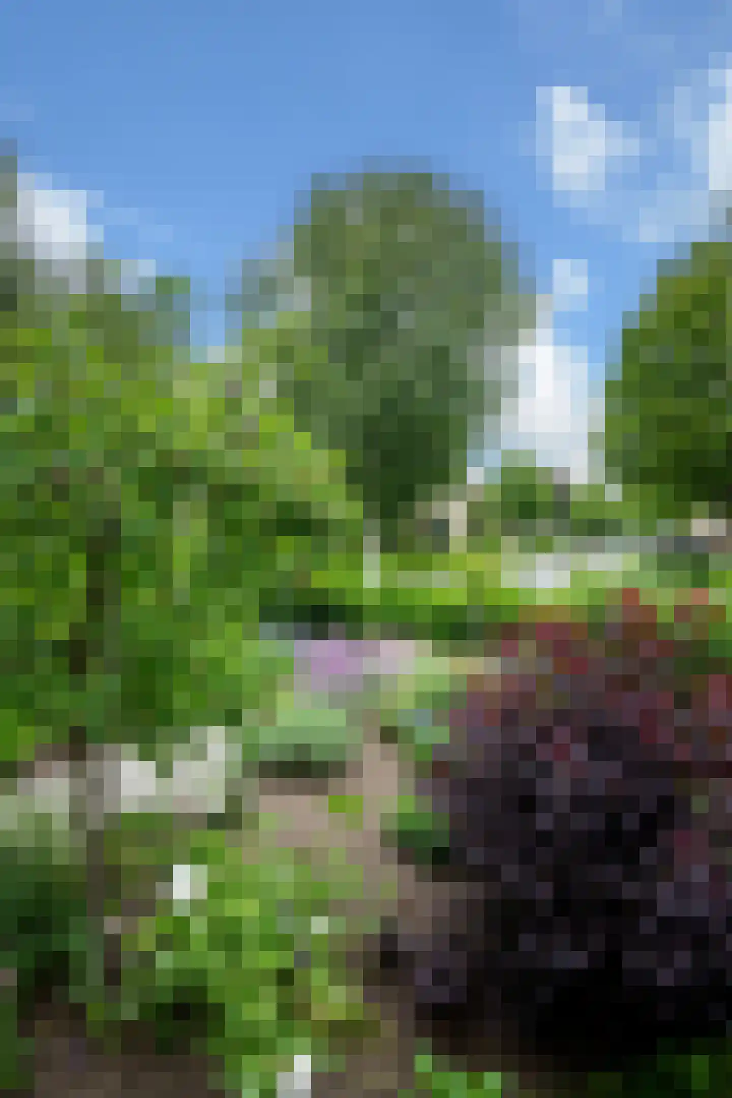 Van Effrinkstraat 10 Voorthuizen thumbnail 27