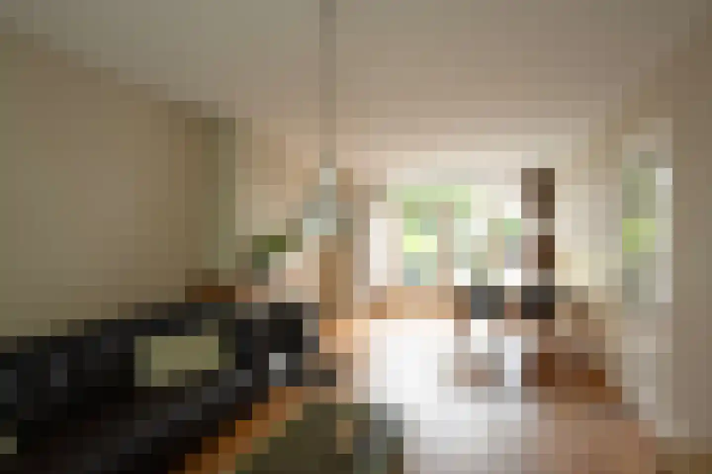 Van Effrinkstraat 10 Voorthuizen thumbnail 4