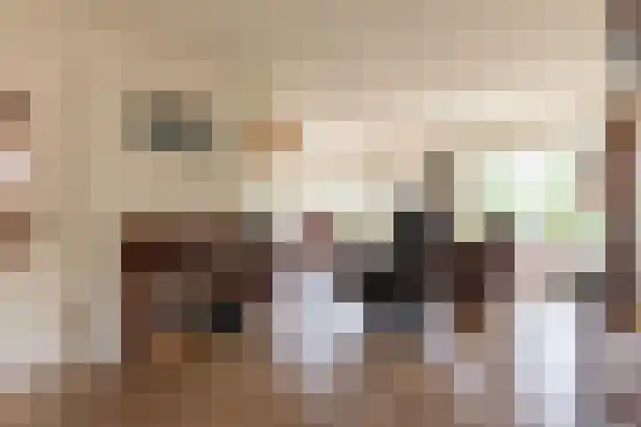Van Effrinkstraat 23 Voorthuizen thumbnail 10