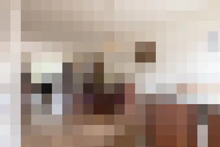 Van Effrinkstraat 23 Voorthuizen thumbnail 12