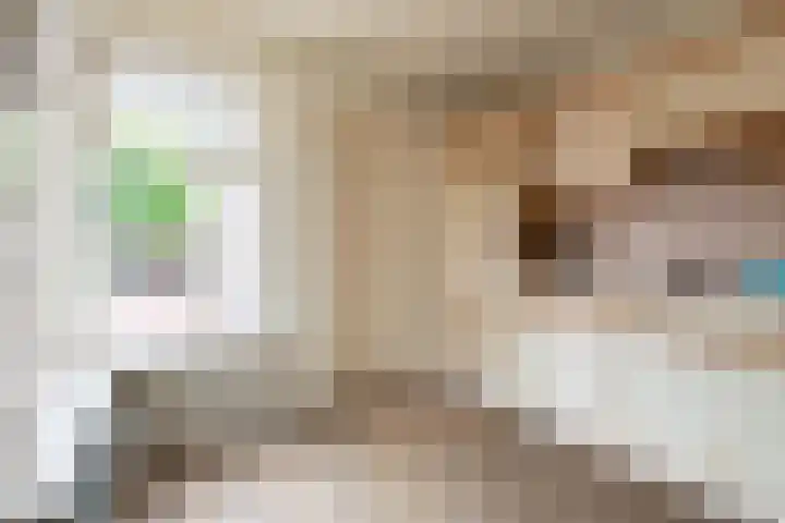 Van Effrinkstraat 23 Voorthuizen thumbnail 15