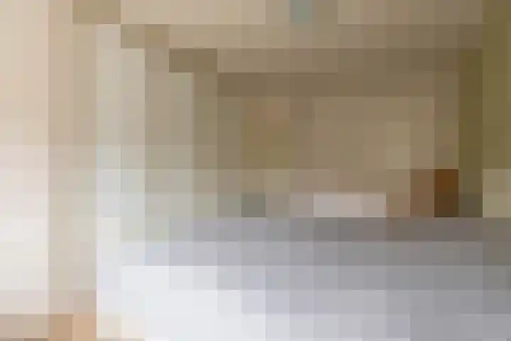 Van Effrinkstraat 23 Voorthuizen thumbnail 22
