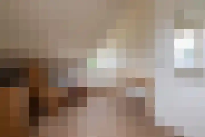 Van Effrinkstraat 23 Voorthuizen thumbnail 24